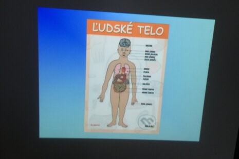 Ľudské telo